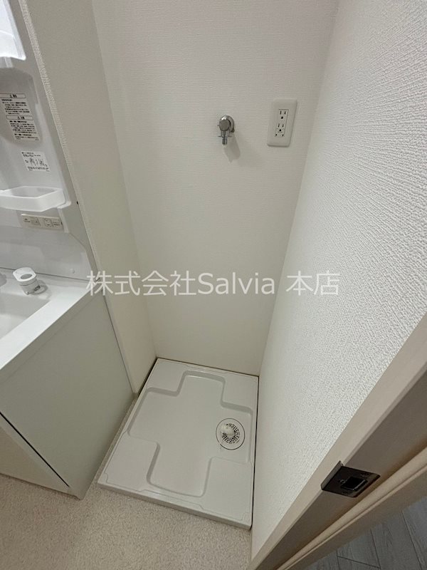 D　porta cacto その他