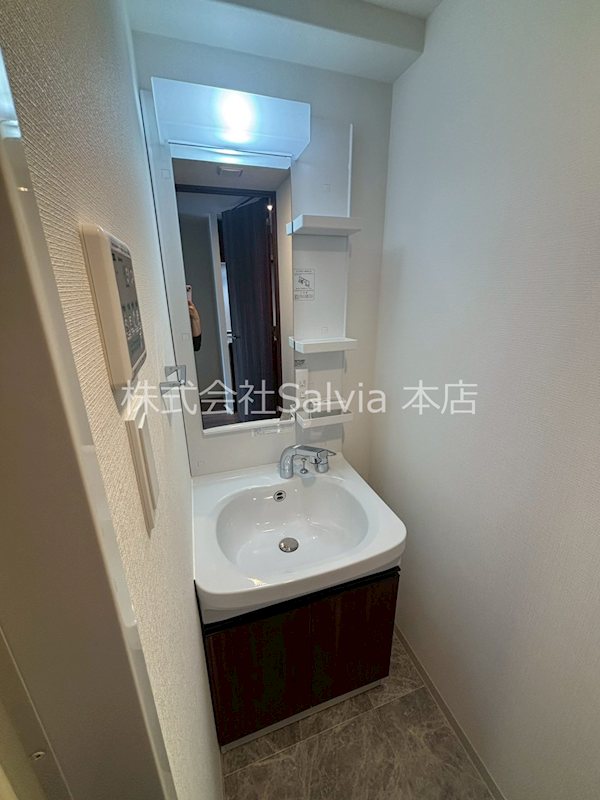 S-RESIDENCE堺blaze 洗面所