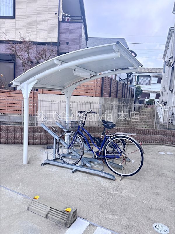 Rio Mund その他