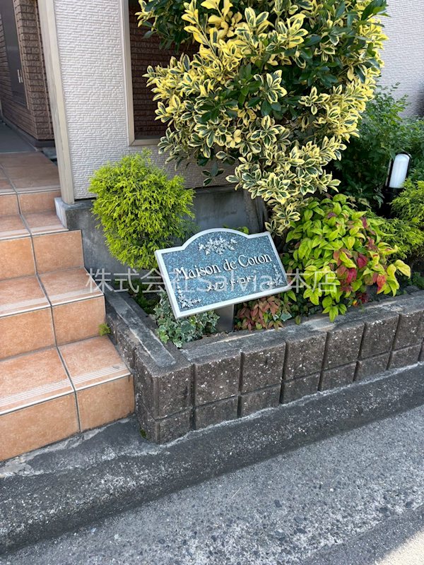 メゾン・ド・コトン その他