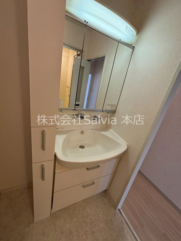サザンコートなかもず 洗面所