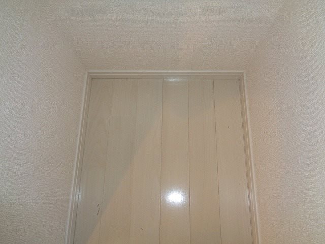 サンシェンロンＫ その他4