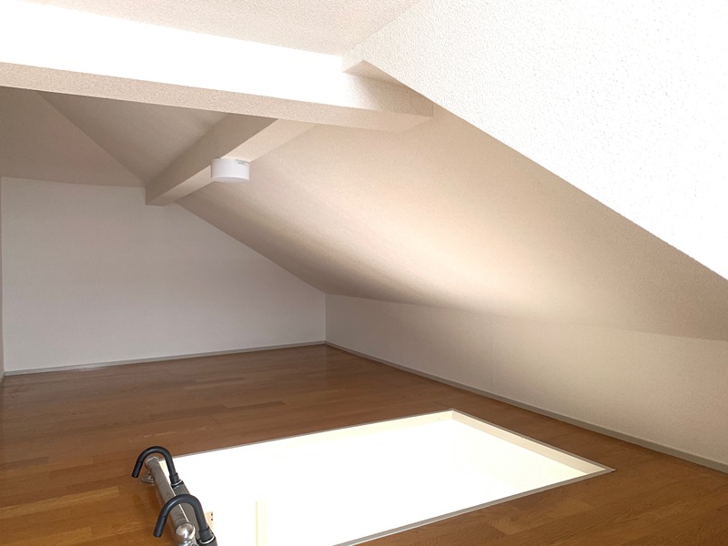 ネトル３ その他6