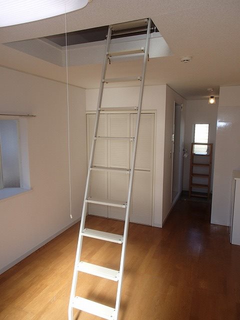 ネトル３ その他14