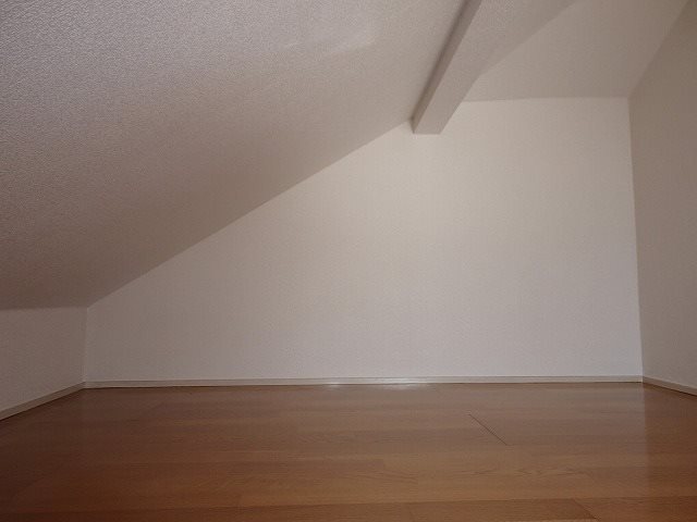 ネトル３ その他19