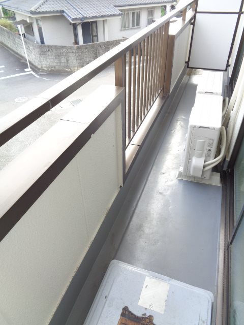 アムールオオカサ その他1