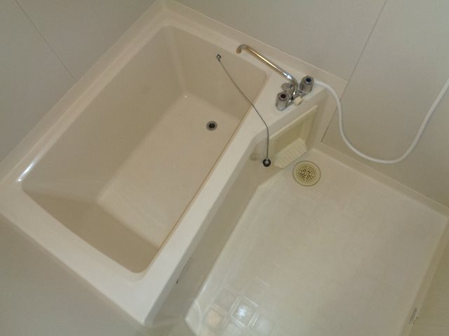 アムールオオカサ 玄関
