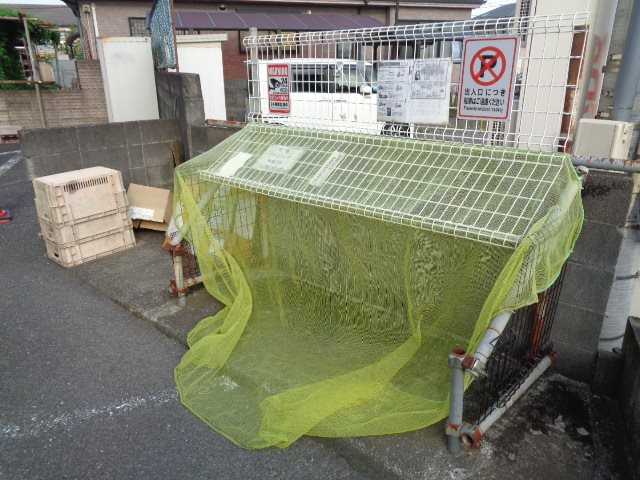 アムールオオカサ その他外観2