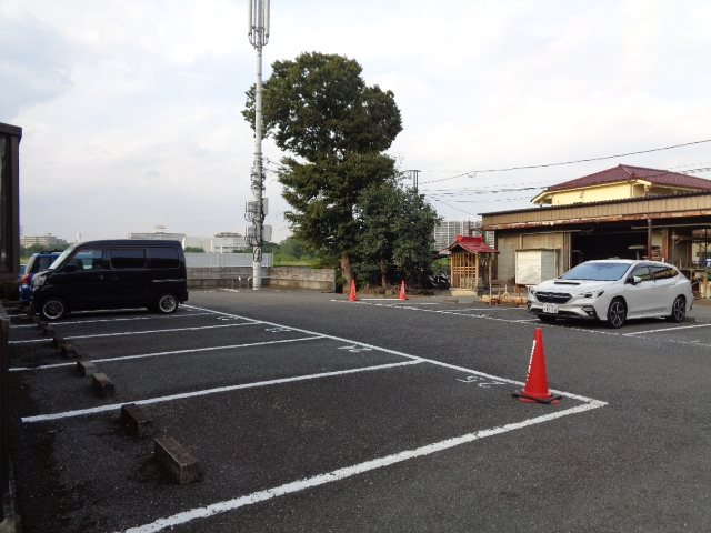 アムールオオカサ その他外観3