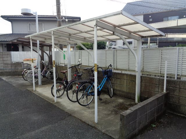 アムールオオカサ その他外観5