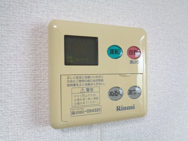 アムールオオカサ その他10