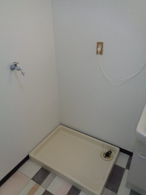 アムールオオカサ その他12