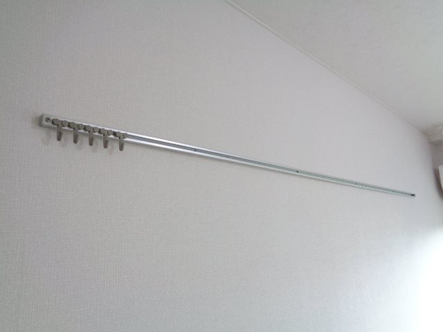 アムールオオカサ その他20