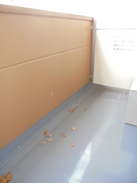 グリー玉川上水 その他35