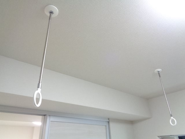 star pear その他3