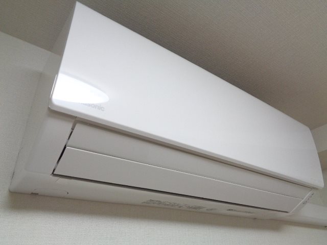 star pear その他4