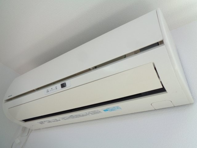 桃 その他2