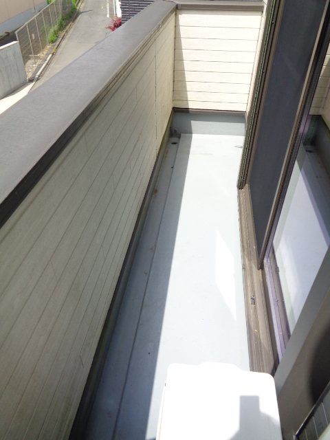 桃 その他5