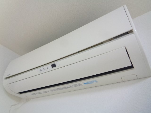 桃 その他18