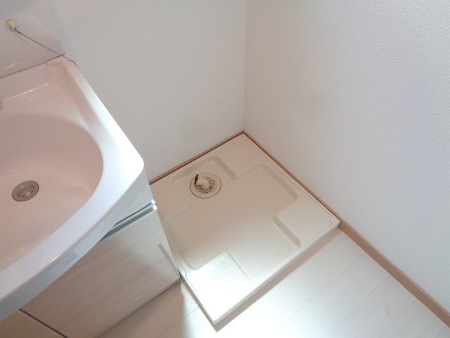 桃 その他29