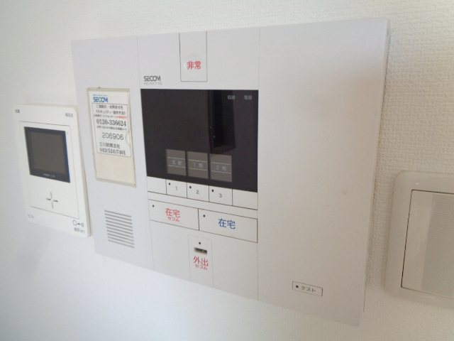 桃 その他35