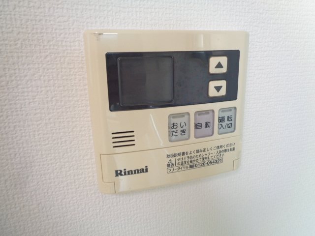 桃 その他40