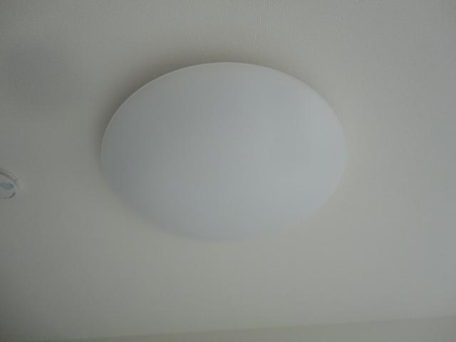 その他16