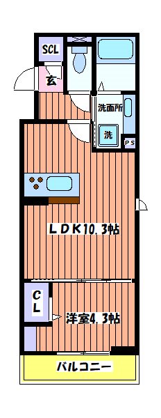 Asset-Court羽衣町 間取り図
