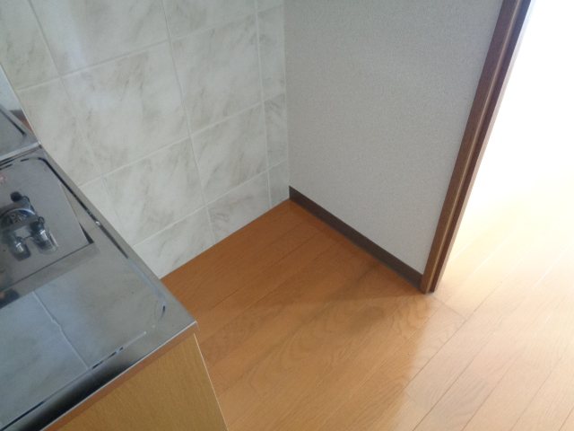 エクセルいづみ その他7