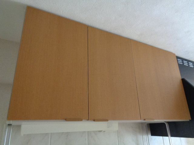 エクセルいづみ その他9