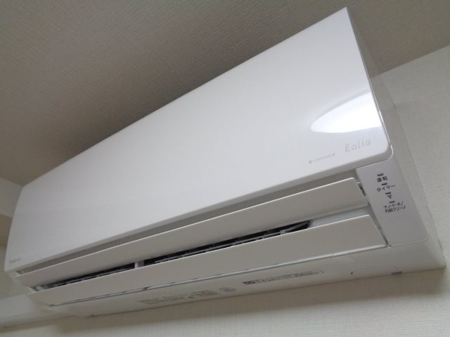 star pear その他5