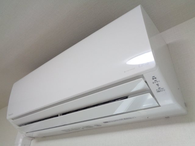 star pear その他33