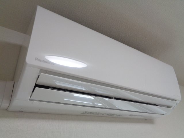 star pear その他35