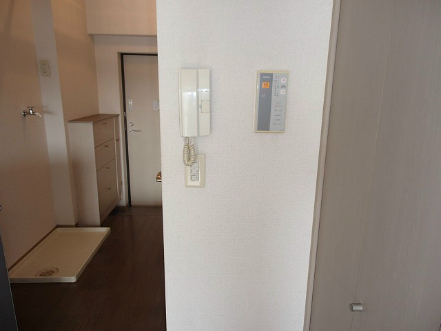 ヴェルドミール国立 その他2