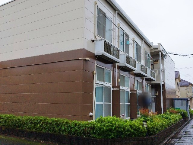 その他11