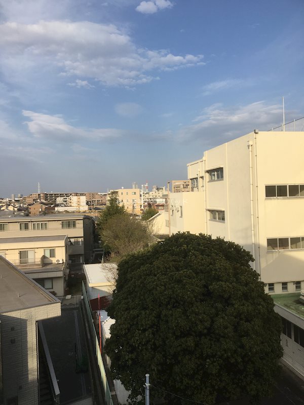 レーンフラット綱島 眺望