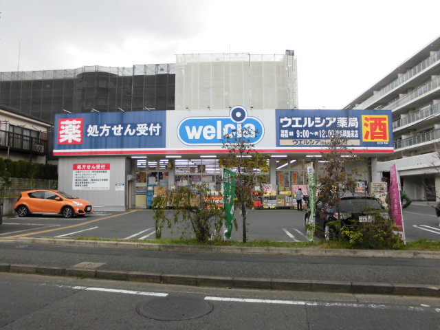 神奈川県横浜市港北区綱島東１丁目 ドラッグストア