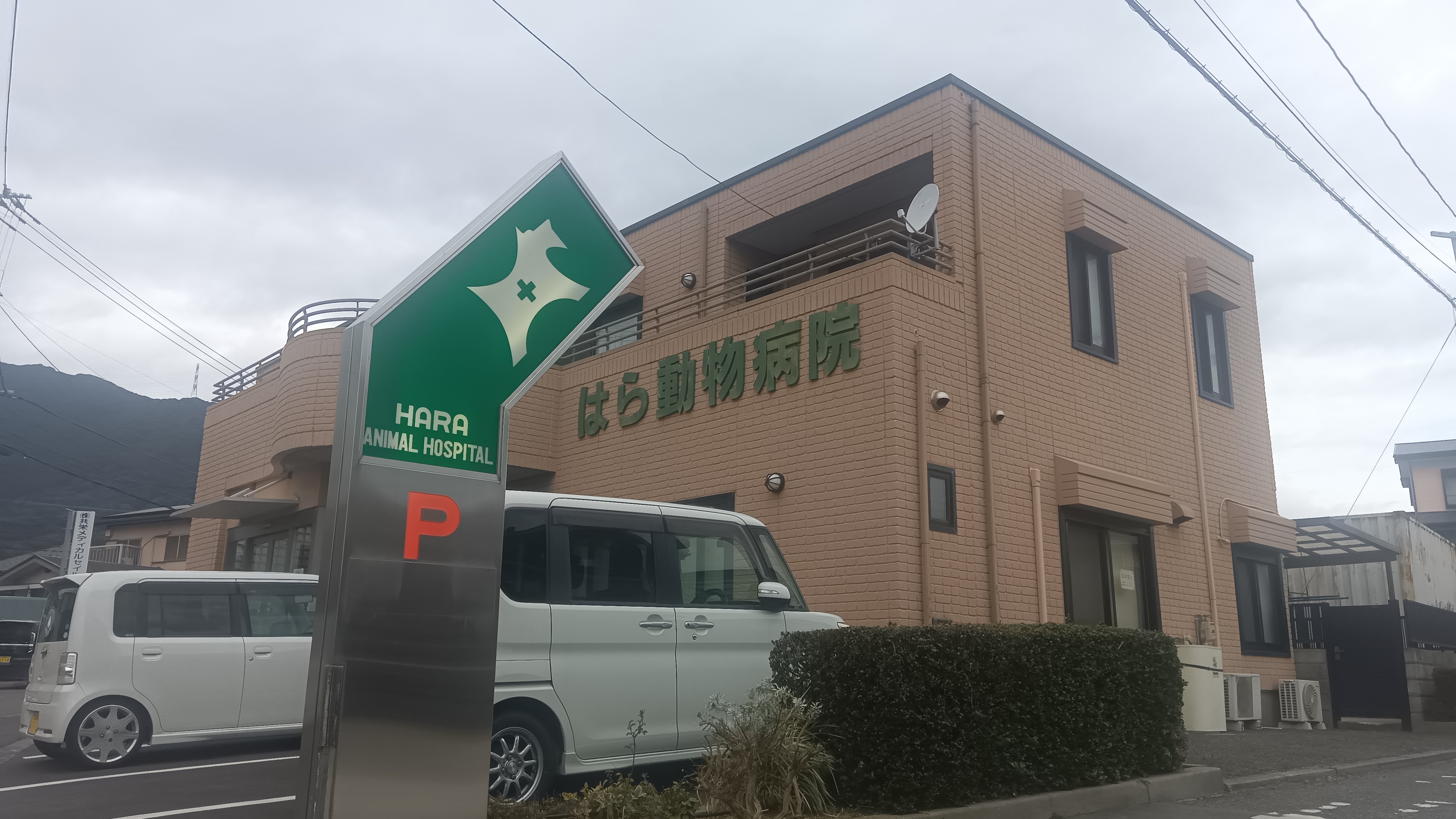 ニューガイア四季彩の丘Ｃ棟 その他