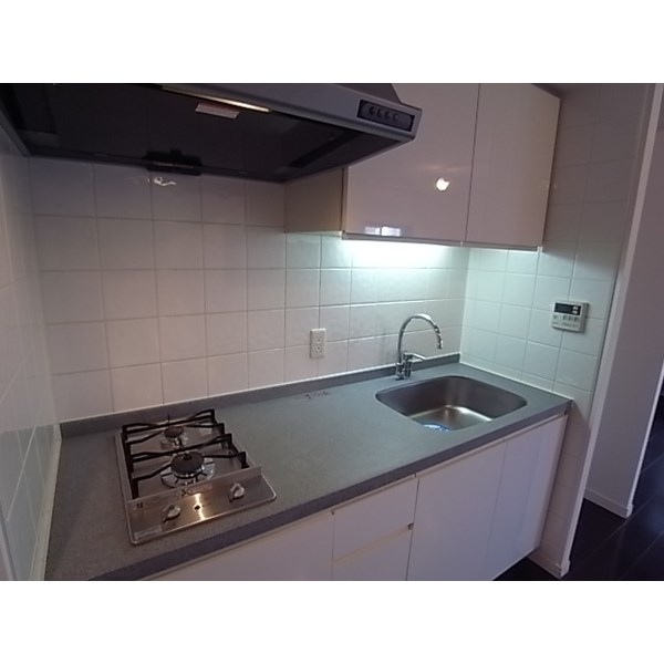 グラン・アベニュー栄 キッチン