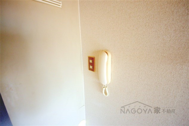 ツインズ1991 その他1