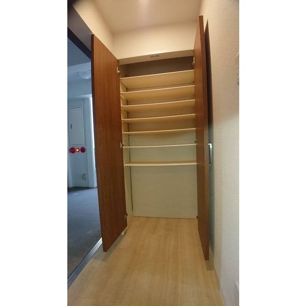 プログレッソ花の木 その他4