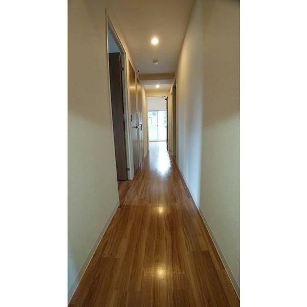 プログレッソ花の木 その他5