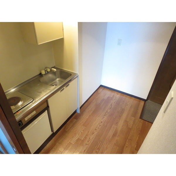 ヴィラ・グリーンボール キッチン