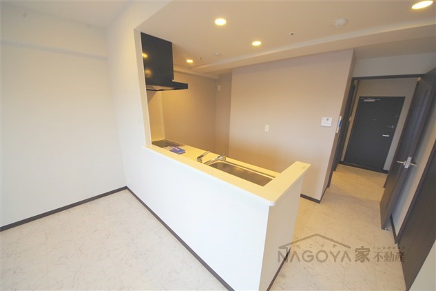 リンパクマンション その他8