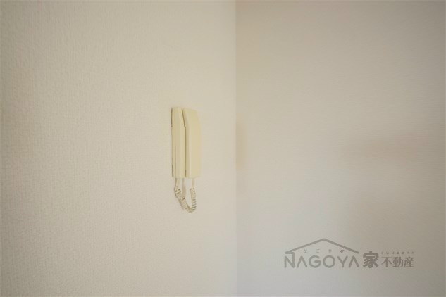 アミティヤスダ その他4