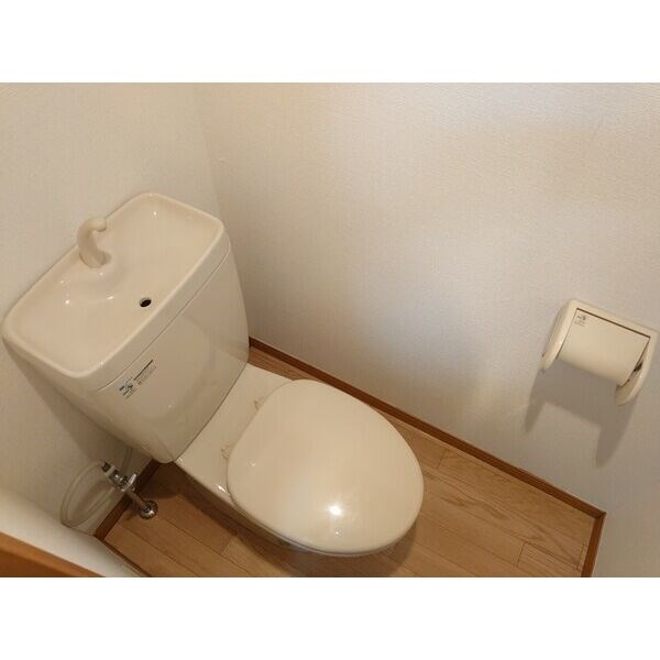 Rosa Candore その他1