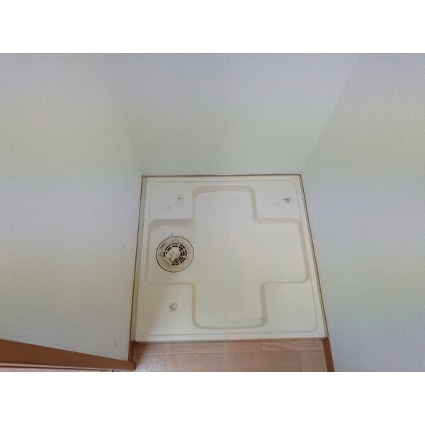 Rosa Candore その他2