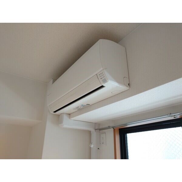 Rosa Candore その他4