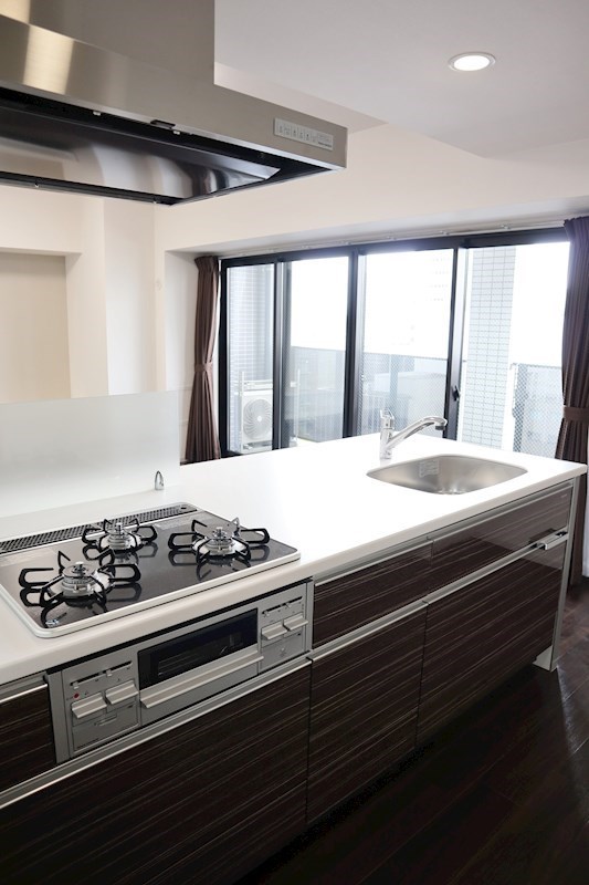 セイワパレス丸の内駅前 キッチン