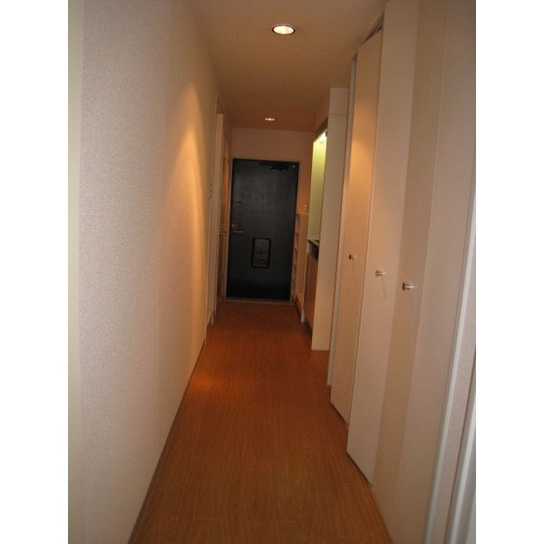 コスモピア金山 その他5